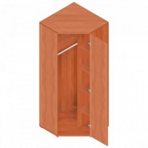 Шкаф для одежды "Референт" Р.Ш-10 в Нижнем Тагиле - nizhniy-tagil.ok-mebel.com | фото