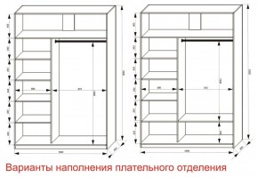 Шкаф-купе 1600 серии SOFT D8+D2+B2+PL4 (2 ящика+F обр.штанга) профиль «Графит» в Нижнем Тагиле - nizhniy-tagil.ok-mebel.com | фото 7