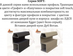 Шкаф-купе 1800 серии SOFT D1+D3+B2+PL1 (2 ящика+1штанга) профиль «Графит» в Нижнем Тагиле - nizhniy-tagil.ok-mebel.com | фото 11