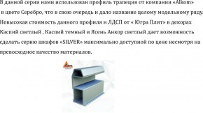 Шкаф-купе 1950 серии SILVER S3+S1+S3Z B22+PL2 (по 2 ящика лев/прав+1штанга+1 полка) профиль «Серебро» в Нижнем Тагиле - nizhniy-tagil.ok-mebel.com | фото 4