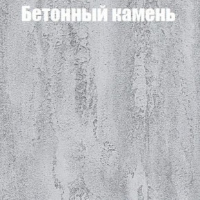 Шкаф-купе Бассо 1.0 (Дуб Крафт серый/Бетонный камень) 2 двери ЛДСП в Нижнем Тагиле - nizhniy-tagil.ok-mebel.com | фото 3