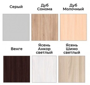 Шкаф-купе ХИТ 22-4-17-55 (420) в Нижнем Тагиле - nizhniy-tagil.ok-mebel.com | фото 3