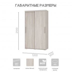 Шкаф-купе ШКК-11 (ясень белый) в Нижнем Тагиле - nizhniy-tagil.ok-mebel.com | фото 7