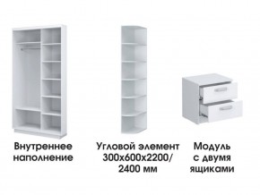 Шкаф-купе «ТАНДЕМ» 2-х дверный в белом профиле (Дверь ЛДСП+Z) 1800/h2200 в Нижнем Тагиле - nizhniy-tagil.ok-mebel.com | фото 3