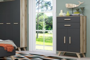 Шкаф низкий Вега Скандинавия в Нижнем Тагиле - nizhniy-tagil.ok-mebel.com | фото 8