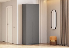 Шкаф платяной Даиго в Нижнем Тагиле - nizhniy-tagil.ok-mebel.com | фото 3