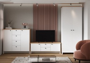 Шкаф платяной Теодора в Нижнем Тагиле - nizhniy-tagil.ok-mebel.com | фото 4