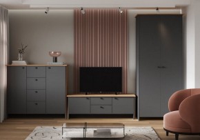 Шкаф платяной Теодора в Нижнем Тагиле - nizhniy-tagil.ok-mebel.com | фото 3