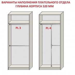 Шкаф распашной серия «ЗЕВС» (PL3/С1/PL2) в Нижнем Тагиле - nizhniy-tagil.ok-mebel.com | фото 10