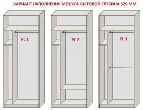 Шкаф распашной серия «ЗЕВС» (PL3/С1/PL2) в Нижнем Тагиле - nizhniy-tagil.ok-mebel.com | фото 5