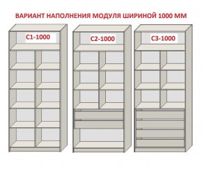 Шкаф распашной серия «ЗЕВС» (PL3/С1/PL2) в Нижнем Тагиле - nizhniy-tagil.ok-mebel.com | фото 7