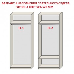 Шкаф распашной серия «ЗЕВС» (PL3/С1/PL2) в Нижнем Тагиле - nizhniy-tagil.ok-mebel.com | фото 9