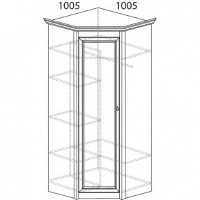 Шкаф угловой №662 "Флоренция" Фасад глухой (угол 1005*1005) Дуб оксфорд в Нижнем Тагиле - nizhniy-tagil.ok-mebel.com | фото 3