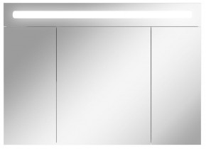 Шкаф-зеркало Аврора 100 с подсветкой LED Домино (DV8012HZ) в Нижнем Тагиле - nizhniy-tagil.ok-mebel.com | фото