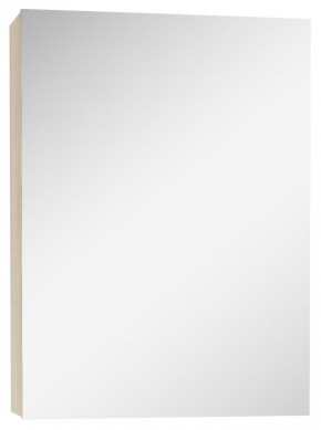 Шкаф-зеркало Мечта 40 Дуб сонома АЙСБЕРГ (DM2317HZ) в Нижнем Тагиле - nizhniy-tagil.ok-mebel.com | фото 1