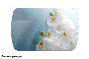 Стол Бостон 900*600 (опоры Брифинг) Стекло/фотопечать Белая Орхидея в Нижнем Тагиле - nizhniy-tagil.ok-mebel.com | фото