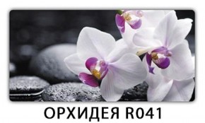 Стол раздвижной Бриз лайм R156 Орхидея R041 в Нижнем Тагиле - nizhniy-tagil.ok-mebel.com | фото 17