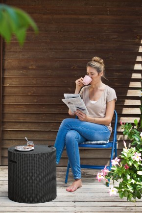 Столик-холодильник Кул-Стул (Cool stool) графит в Нижнем Тагиле - nizhniy-tagil.ok-mebel.com | фото