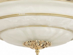 Светильник на штанге Arti Lampadari Pavia Pavia E 1.13.P40 G в Нижнем Тагиле - nizhniy-tagil.ok-mebel.com | фото 3