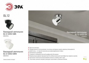 Светильник на штанге Эра OL12 GX53 SBK Б0049034 в Нижнем Тагиле - nizhniy-tagil.ok-mebel.com | фото 5