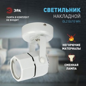 Светильник на штанге Эра OL2 GU10 WH Б0044259 в Нижнем Тагиле - nizhniy-tagil.ok-mebel.com | фото 3