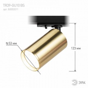 Светильник на штанге Эра  TR39-GU10 BS в Нижнем Тагиле - nizhniy-tagil.ok-mebel.com | фото 6