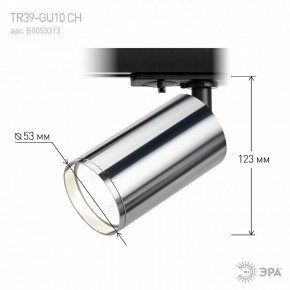Светильник на штанге Эра  TR39-GU10 СН в Нижнем Тагиле - nizhniy-tagil.ok-mebel.com | фото 7
