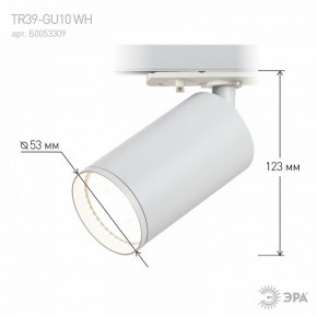 Светильник на штанге Эра  TR39-GU10 WH в Нижнем Тагиле - nizhniy-tagil.ok-mebel.com | фото 7