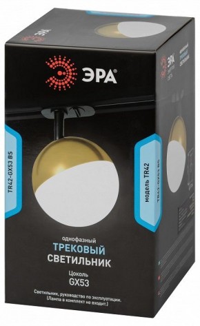 Светильник на штанге Эра  TR42-GX53 BS в Нижнем Тагиле - nizhniy-tagil.ok-mebel.com | фото 6