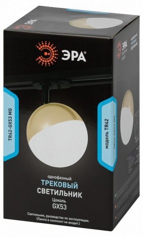 Светильник на штанге Эра  TR42-GX53 MG в Нижнем Тагиле - nizhniy-tagil.ok-mebel.com | фото 6