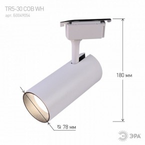 Светильник на штанге Эра  TR5-30 COB WH в Нижнем Тагиле - nizhniy-tagil.ok-mebel.com | фото 6