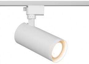 Светильник на штанге Эра  TR59 - 3030 WH в Нижнем Тагиле - nizhniy-tagil.ok-mebel.com | фото