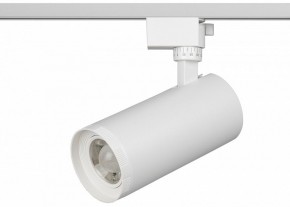 Светильник на штанге Эра  TR59 - 3030 WH в Нижнем Тагиле - nizhniy-tagil.ok-mebel.com | фото 2