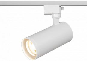 Светильник на штанге Эра  TR59 - 3030 WH в Нижнем Тагиле - nizhniy-tagil.ok-mebel.com | фото 5