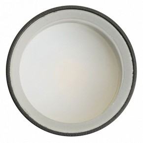Светильник на штанге Feron ML1001 51371 в Нижнем Тагиле - nizhniy-tagil.ok-mebel.com | фото 4