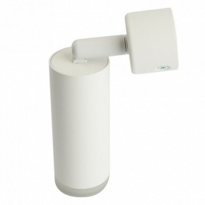 Светильник на штанге Feron ML1021 51390 в Нижнем Тагиле - nizhniy-tagil.ok-mebel.com | фото 3