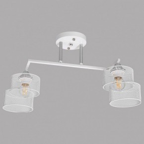 Светильник на штанге Imex MD.4252 MD.4252-2-S-WH+CH в Нижнем Тагиле - nizhniy-tagil.ok-mebel.com | фото
