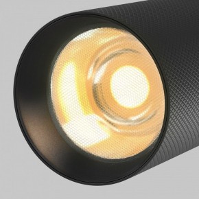 Светильник на штанге Maytoni Artisan TR097-2-12W2.7K-M-BB в Нижнем Тагиле - nizhniy-tagil.ok-mebel.com | фото 9