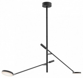 Светильник на штанге Maytoni Fad MOD070CL-L15B3K1 в Нижнем Тагиле - nizhniy-tagil.ok-mebel.com | фото