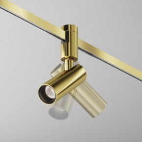 Светильник на штанге Maytoni Focus Led TR144-1-5W4K-W-BS в Нижнем Тагиле - nizhniy-tagil.ok-mebel.com | фото 2