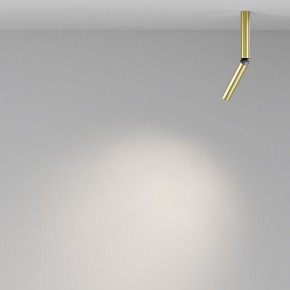 Светильник на штанге Maytoni Focus T C142CL-6W4K-BS в Нижнем Тагиле - nizhniy-tagil.ok-mebel.com | фото 4