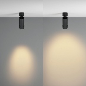 Светильник на штанге Maytoni Focus Zoom C055CL-L12W2.7K-Z-B в Нижнем Тагиле - nizhniy-tagil.ok-mebel.com | фото 3
