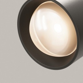 Светильник на штанге Maytoni Lens TR217-2-15W3K-B в Нижнем Тагиле - nizhniy-tagil.ok-mebel.com | фото 12