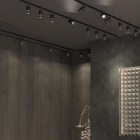Светильник на штанге Novotech Elina 370777 в Нижнем Тагиле - nizhniy-tagil.ok-mebel.com | фото 4