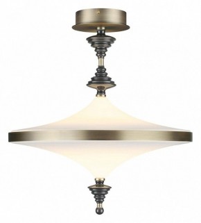 Светильник на штанге Odeon Light Ula 5404/43CL в Нижнем Тагиле - nizhniy-tagil.ok-mebel.com | фото 2