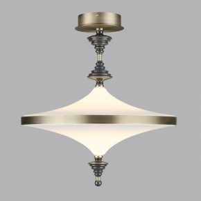 Светильник на штанге Odeon Light Ula 5404/43CL в Нижнем Тагиле - nizhniy-tagil.ok-mebel.com | фото 3