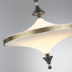 Светильник на штанге Odeon Light Ula 5404/43CL в Нижнем Тагиле - nizhniy-tagil.ok-mebel.com | фото 6