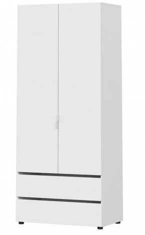 Токио Шкаф 2-х створчатый с 2-мя ящиками (*без полок) в Нижнем Тагиле - nizhniy-tagil.ok-mebel.com | фото