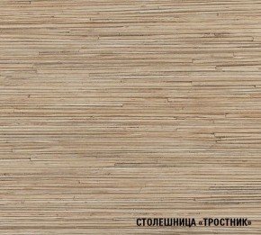 ТОМИЛЛА Кухонный гарнитур Нормал 4 (1500 мм ) в Нижнем Тагиле - nizhniy-tagil.ok-mebel.com | фото 6
