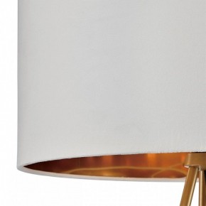 Торшер Lumion Tapioka 8077/1F в Нижнем Тагиле - nizhniy-tagil.ok-mebel.com | фото 6